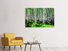 Laden Sie das Bild in den Galerie-Viewer, Leinwandbild 3-teilig Sommerlicher Birkenwald