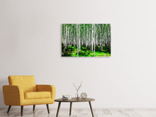 Laden Sie das Bild in den Galerie-Viewer, Leinwandbild 3-teilig Sommerlicher Birkenwald