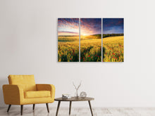 Laden Sie das Bild in den Galerie-Viewer, Leinwandbild 3-teilig Ein Blumenfeld bei Sonnenaufgang
