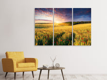 Laden Sie das Bild in den Galerie-Viewer, Leinwandbild 3-teilig Ein Blumenfeld bei Sonnenaufgang