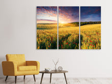 Laden Sie das Bild in den Galerie-Viewer, Leinwandbild 3-teilig Ein Blumenfeld bei Sonnenaufgang