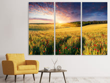 Laden Sie das Bild in den Galerie-Viewer, Leinwandbild 3-teilig Ein Blumenfeld bei Sonnenaufgang