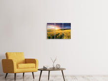 Laden Sie das Bild in den Galerie-Viewer, Leinwandbild 3-teilig Ein Blumenfeld bei Sonnenaufgang