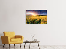 Laden Sie das Bild in den Galerie-Viewer, Leinwandbild 3-teilig Ein Blumenfeld bei Sonnenaufgang