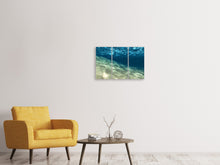 Laden Sie das Bild in den Galerie-Viewer, Leinwandbild 3-teilig Unter dem Wasser