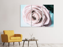 Laden Sie das Bild in den Galerie-Viewer, Leinwandbild 3-teilig Pastellrose