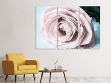 Laden Sie das Bild in den Galerie-Viewer, Leinwandbild 3-teilig Pastellrose