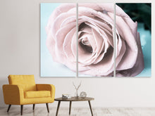 Laden Sie das Bild in den Galerie-Viewer, Leinwandbild 3-teilig Pastellrose
