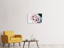 Laden Sie das Bild in den Galerie-Viewer, Leinwandbild 3-teilig Pastellrose