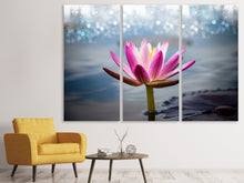 Laden Sie das Bild in den Galerie-Viewer, Leinwandbild 3-teilig Lotus im Morgentau