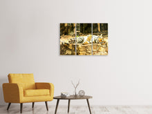 Laden Sie das Bild in den Galerie-Viewer, Leinwandbild 3-teilig Der Sibirische Tiger