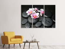 Laden Sie das Bild in den Galerie-Viewer, Leinwandbild 3-teilig Feng-Shui-Orchidee Zen