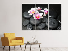 Laden Sie das Bild in den Galerie-Viewer, Leinwandbild 3-teilig Feng-Shui-Orchidee Zen