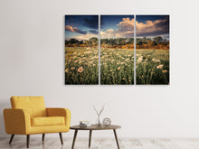 Laden Sie das Bild in den Galerie-Viewer, Leinwandbild 3-teilig Die Wiesenmargerite am Fluss