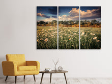 Laden Sie das Bild in den Galerie-Viewer, Leinwandbild 3-teilig Die Wiesenmargerite am Fluss