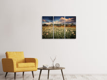 Laden Sie das Bild in den Galerie-Viewer, Leinwandbild 3-teilig Die Wiesenmargerite am Fluss