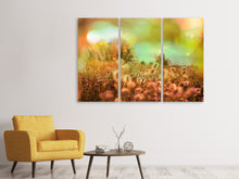 Laden Sie das Bild in den Galerie-Viewer, Leinwandbild 3-teilig Blumenwiese in der Abenddämmerung
