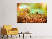 Laden Sie das Bild in den Galerie-Viewer, Leinwandbild 3-teilig Blumenwiese in der Abenddämmerung