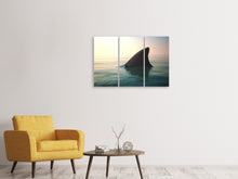 Laden Sie das Bild in den Galerie-Viewer, Leinwandbild 3-teilig Haifischflosse