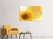 Laden Sie das Bild in den Galerie-Viewer, Leinwandbild 3-teilig Sonnenblume im Morgentau