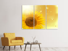 Laden Sie das Bild in den Galerie-Viewer, Leinwandbild 3-teilig Sonnenblume im Morgentau