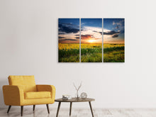 Laden Sie das Bild in den Galerie-Viewer, Leinwandbild 3-teilig Ein Feld von Sonnenblumen