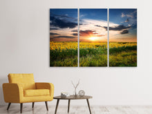 Laden Sie das Bild in den Galerie-Viewer, Leinwandbild 3-teilig Ein Feld von Sonnenblumen