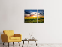 Laden Sie das Bild in den Galerie-Viewer, Leinwandbild 3-teilig Ein Feld von Sonnenblumen