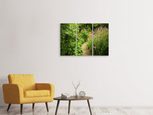 Laden Sie das Bild in den Galerie-Viewer, Leinwandbild 3-teilig Gartenweg