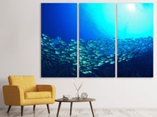 Laden Sie das Bild in den Galerie-Viewer, Leinwandbild 3-teilig Fischschwarm