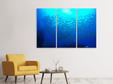 Laden Sie das Bild in den Galerie-Viewer, Leinwandbild 3-teilig Fischwelt