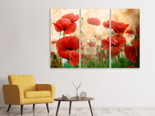 Laden Sie das Bild in den Galerie-Viewer, Leinwandbild 3-teilig Der Klatschmohn