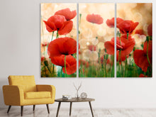 Laden Sie das Bild in den Galerie-Viewer, Leinwandbild 3-teilig Der Klatschmohn