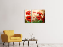 Laden Sie das Bild in den Galerie-Viewer, Leinwandbild 3-teilig Der Klatschmohn