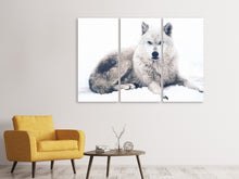 Laden Sie das Bild in den Galerie-Viewer, Leinwandbild 3-teilig Der Wolf