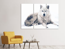 Laden Sie das Bild in den Galerie-Viewer, Leinwandbild 3-teilig Der Wolf