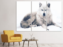 Laden Sie das Bild in den Galerie-Viewer, Leinwandbild 3-teilig Der Wolf