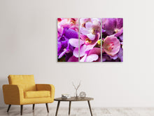 Laden Sie das Bild in den Galerie-Viewer, Leinwandbild 3-teilig Im Orchideenparadies