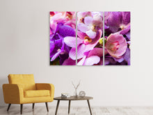 Laden Sie das Bild in den Galerie-Viewer, Leinwandbild 3-teilig Im Orchideenparadies