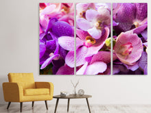Laden Sie das Bild in den Galerie-Viewer, Leinwandbild 3-teilig Im Orchideenparadies
