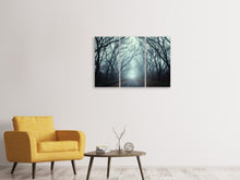 Laden Sie das Bild in den Galerie-Viewer, Leinwandbild 3-teilig Nebelwald