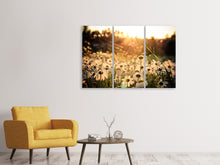 Laden Sie das Bild in den Galerie-Viewer, Leinwandbild 3-teilig Gänseblümchen bei Sonnenuntergang