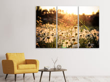 Laden Sie das Bild in den Galerie-Viewer, Leinwandbild 3-teilig Gänseblümchen bei Sonnenuntergang
