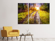 Laden Sie das Bild in den Galerie-Viewer, Leinwandbild 3-teilig Der Waldpfad