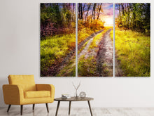 Laden Sie das Bild in den Galerie-Viewer, Leinwandbild 3-teilig Der Waldpfad