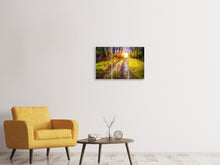 Laden Sie das Bild in den Galerie-Viewer, Leinwandbild 3-teilig Der Waldpfad
