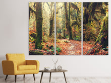 Laden Sie das Bild in den Galerie-Viewer, Leinwandbild 3-teilig Feenwald