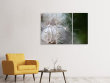 Laden Sie das Bild in den Galerie-Viewer, Leinwandbild 3-teilig Close up Blütenfasern