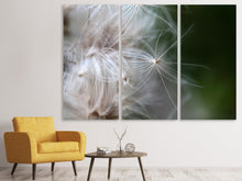 Laden Sie das Bild in den Galerie-Viewer, Leinwandbild 3-teilig Close up Blütenfasern