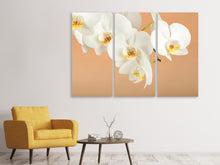 Laden Sie das Bild in den Galerie-Viewer, Leinwandbild 3-teilig Weisse Orchideenblüten